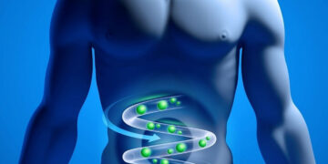 При метеоризме газы скапливаются в разных частях кишечника