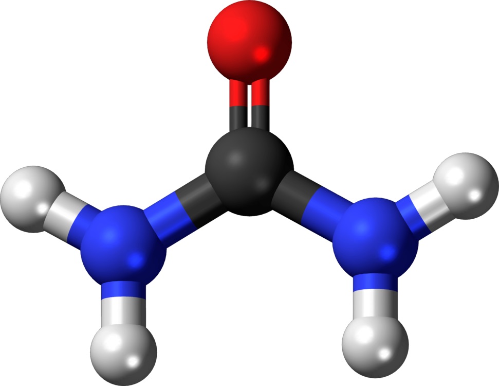 схематическое изображение молекулы мочевины в черном, синем, красном и белом цветах. мочевина - продукт распада аммиака на азот и мочевину
