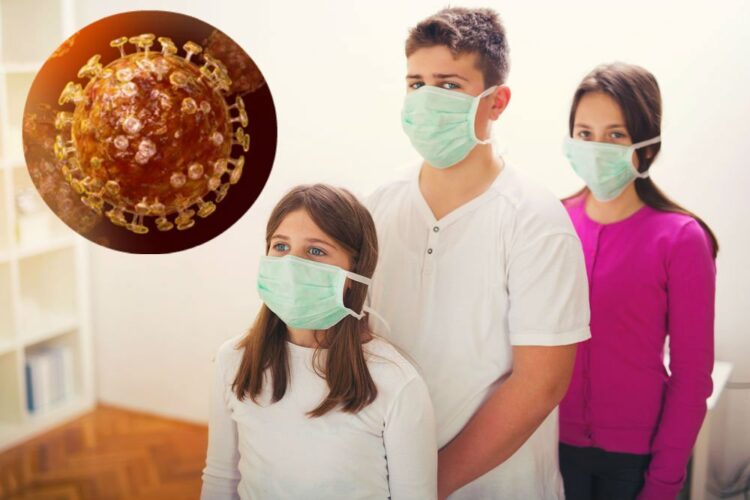 Первые случаи заражения коронавирусом 2019-nCoV в России